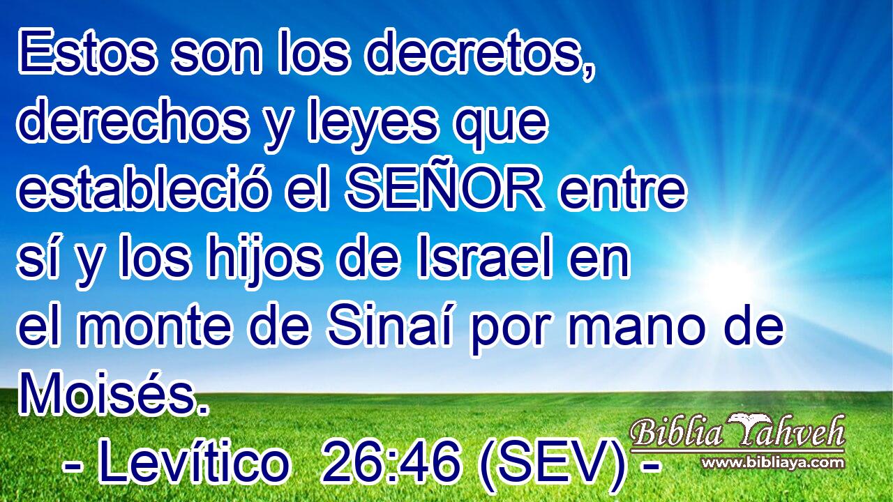 Estos son los decretos, derechos y leyes que estableció el SEÑOR entre sí y los hijos de Israel en el monte de Sinaí por mano de Moisés.