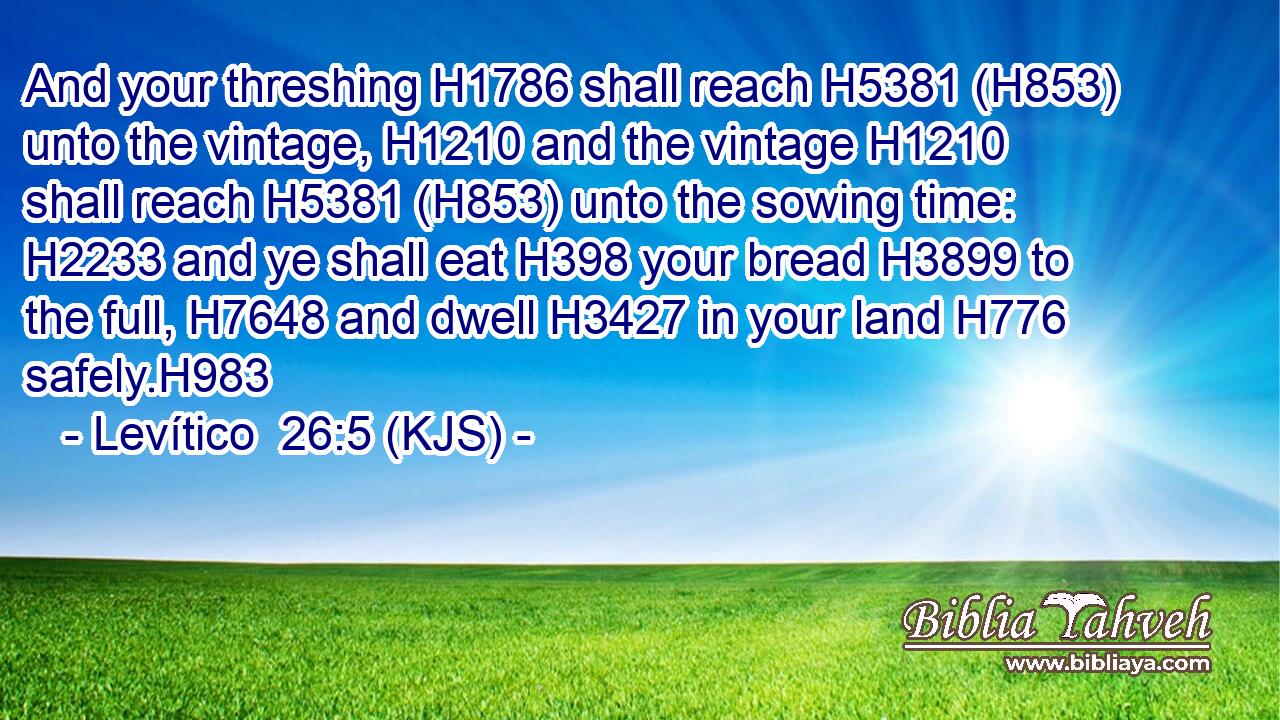 And your threshing H1786 shall reach H5381 (H853) unto the vintage, H1210 and the vintage H1210 shall reach H5381 (H853) unto the sowing time: H2233 and ye shall eat H398 your bread H3899 to the full, H7648 and dwell H3427 in your land H776 safely.H983
