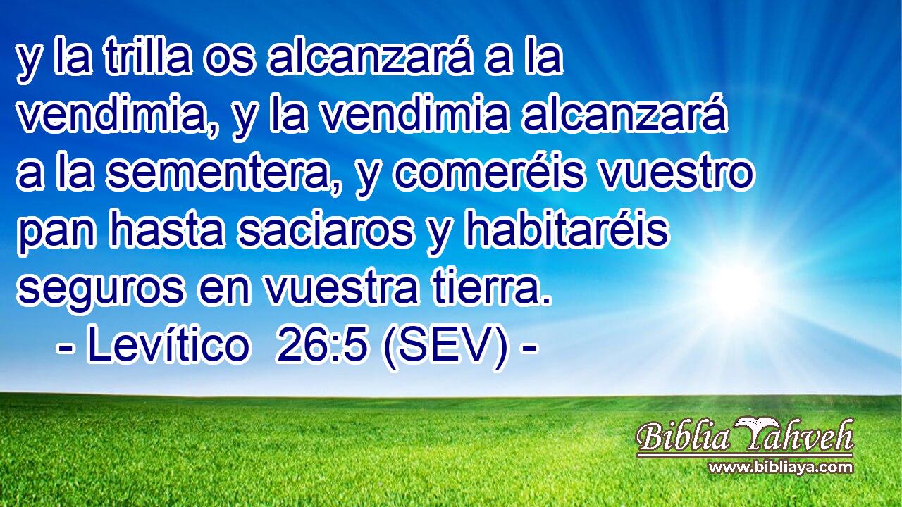 y la trilla os alcanzará a la vendimia, y la vendimia alcanzará a la sementera, y comeréis vuestro pan hasta saciaros y habitaréis seguros en vuestra tierra.