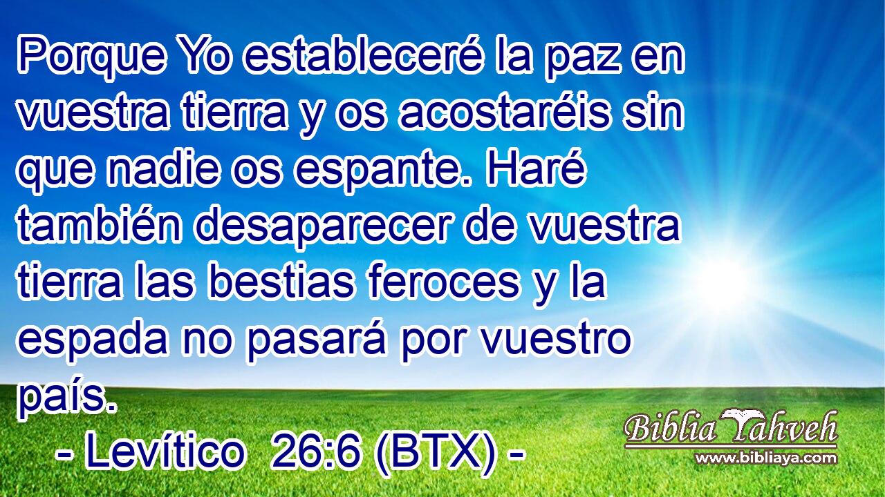 Porque Yo estableceré la paz en vuestra tierra y os acostaréis sin que nadie os espante. Haré también desaparecer de vuestra tierra las bestias feroces y la espada no pasará por vuestro país.