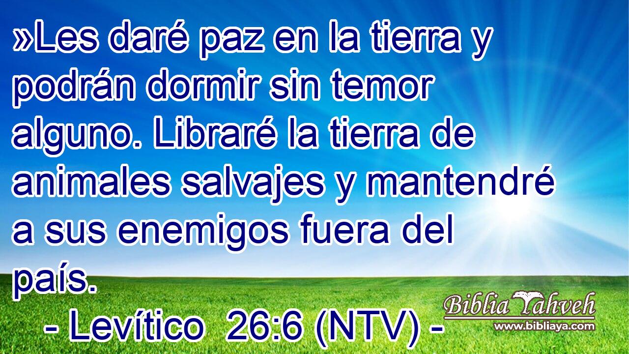 »Les daré paz en la tierra y podrán dormir sin temor alguno. Libraré la tierra de animales salvajes y mantendré a sus enemigos fuera del país.