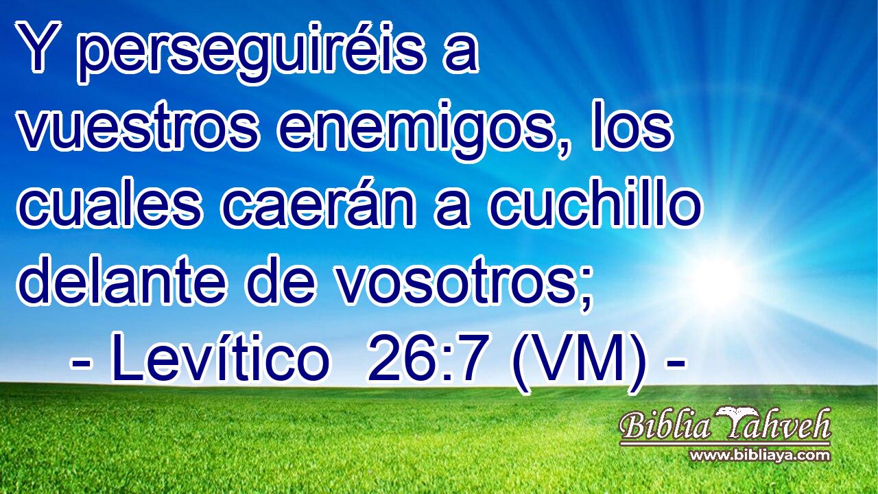  Y perseguiréis a vuestros enemigos, los cuales caerán a cuchillo delante de vosotros; 