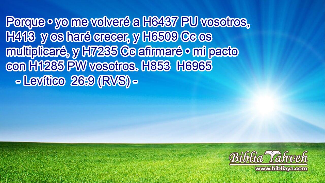 Porque • yo me volveré a H6437 PU vosotros, H413  y os haré crecer, y H6509 Cc os multiplicaré, y H7235 Cc afirmaré • mi pacto con H1285 PW vosotros. H853  H6965 