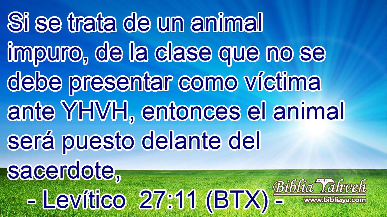 Si se trata de un animal impuro, de la clase que no se debe presentar como víctima ante YHVH, entonces el animal será puesto delante del sacerdote,
