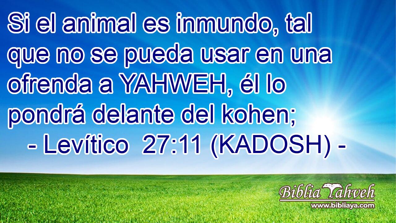  Si el animal es inmundo, tal que no se pueda usar en una ofrenda a YAHWEH, él lo pondrá delante del kohen; 
