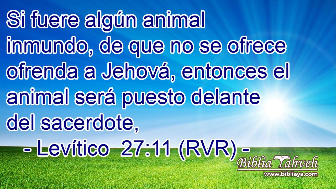 Si fuere algún animal inmundo, de que no se ofrece ofrenda a Jehová, entonces el animal será puesto delante del sacerdote,