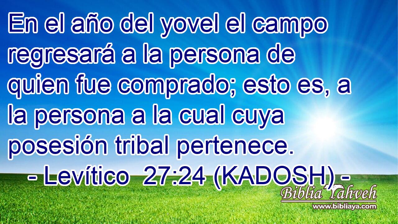  En el año del yovel el campo regresará a la persona de quien fue comprado; esto es, a la persona a la cual cuya posesión tribal pertenece. 