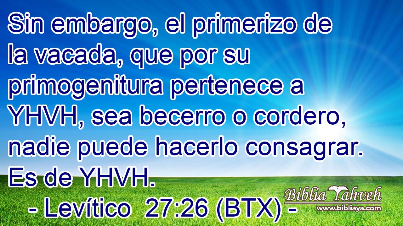 Sin embargo, el primerizo de la vacada, que por su primogenitura pertenece a YHVH, sea becerro o cordero, nadie puede hacerlo consagrar. Es de YHVH.