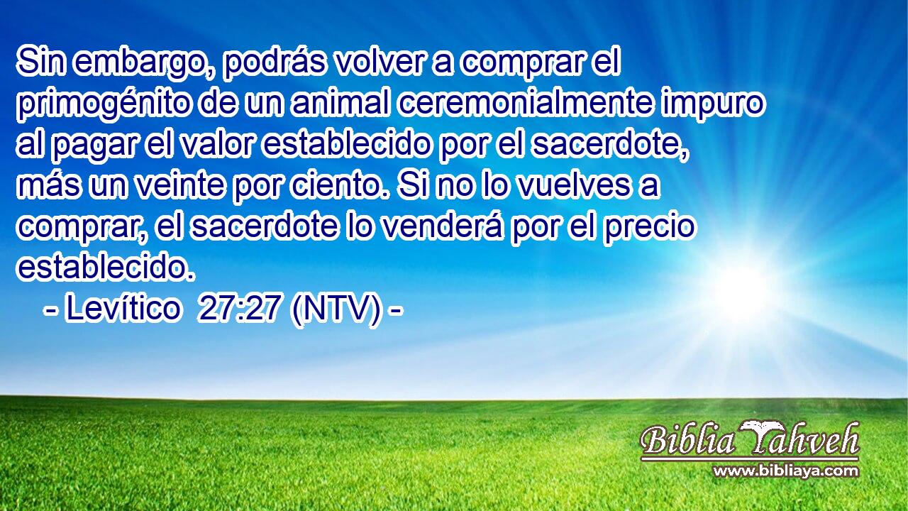 Sin embargo, podrás volver a comprar el primogénito de un animal ceremonialmente impuro al pagar el valor establecido por el sacerdote, más un veinte por ciento. Si no lo vuelves a comprar, el sacerdote lo venderá por el precio establecido.