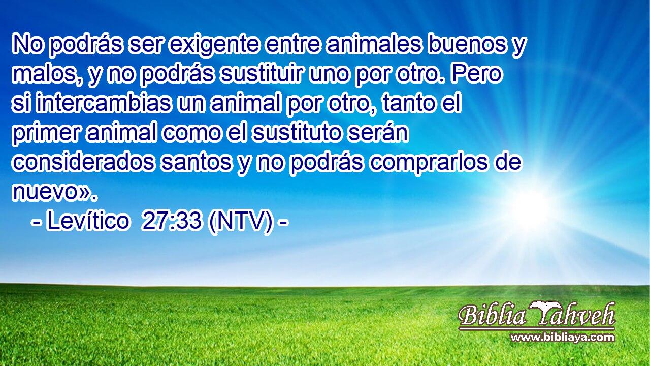 No podrás ser exigente entre animales buenos y malos, y no podrás sustituir uno por otro. Pero si intercambias un animal por otro, tanto el primer animal como el sustituto serán considerados santos y no podrás comprarlos de nuevo».