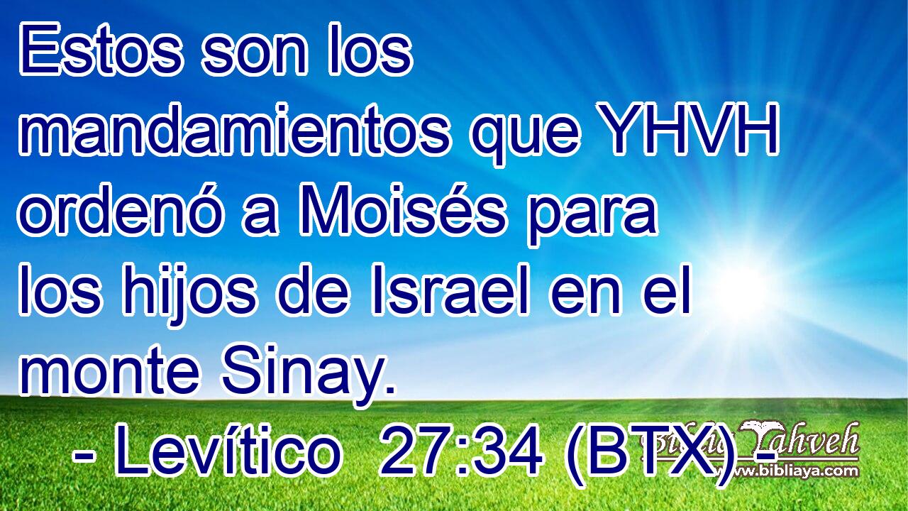 Estos son los mandamientos que YHVH ordenó a Moisés para los hijos de Israel en el monte Sinay.