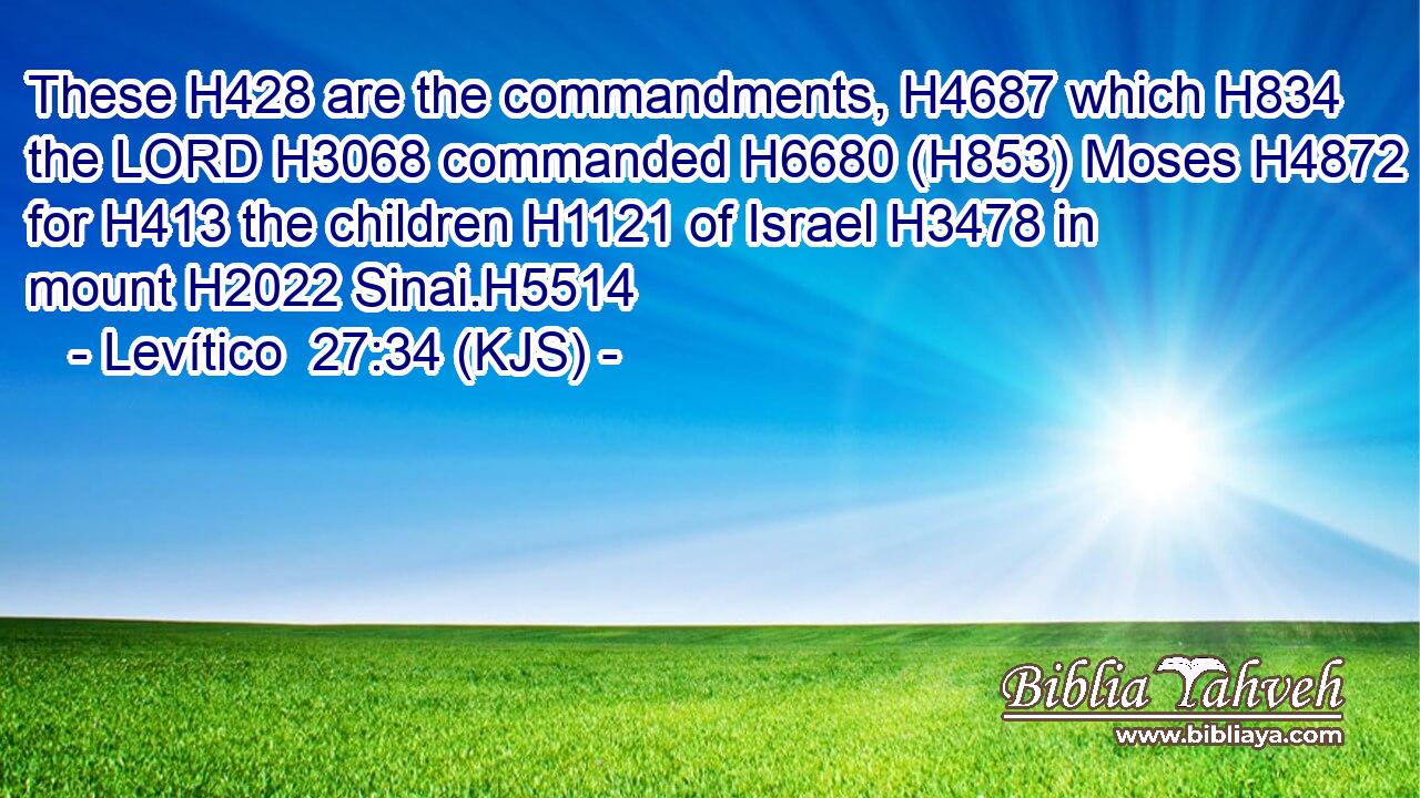 These H428 are the commandments, H4687 which H834 the LORD H3068 commanded H6680 (H853) Moses H4872 for H413 the children H1121 of Israel H3478 in mount H2022 Sinai.H5514
