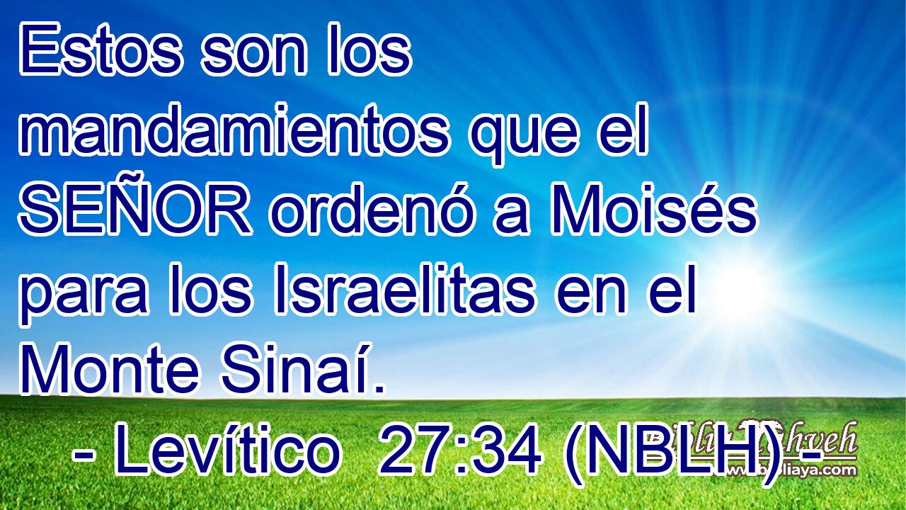  Estos son los mandamientos que el SEÑOR ordenó a Moisés para los Israelitas en el Monte Sinaí. 