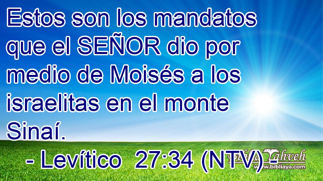 Estos son los mandatos que el SEÑOR dio por medio de Moisés a los israelitas en el monte Sinaí.