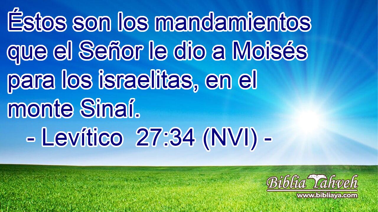  Éstos son los mandamientos que el Señor le dio a Moisés para los israelitas, en el monte Sinaí. 
