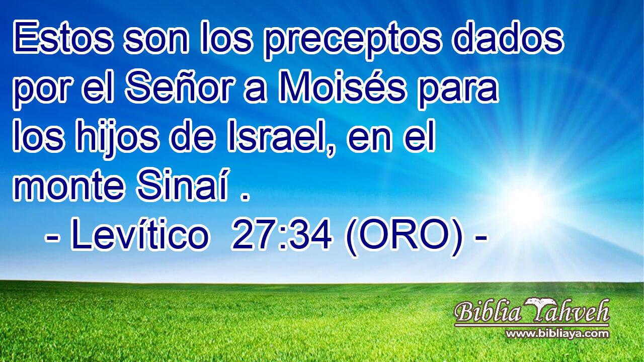  Estos son los preceptos dados por el Señor a Moisés para los hijos de Israel, en el monte Sinaí . 