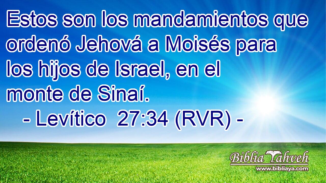 Estos son los mandamientos que ordenó Jehová a Moisés para los hijos de Israel, en el monte de Sinaí.