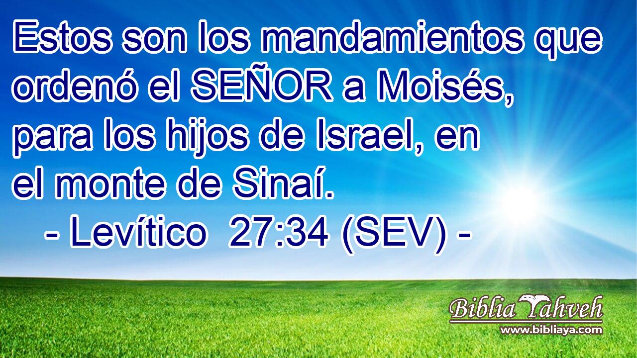 Estos son los mandamientos que ordenó el SEÑOR a Moisés, para los hijos de Israel, en el monte de Sinaí.