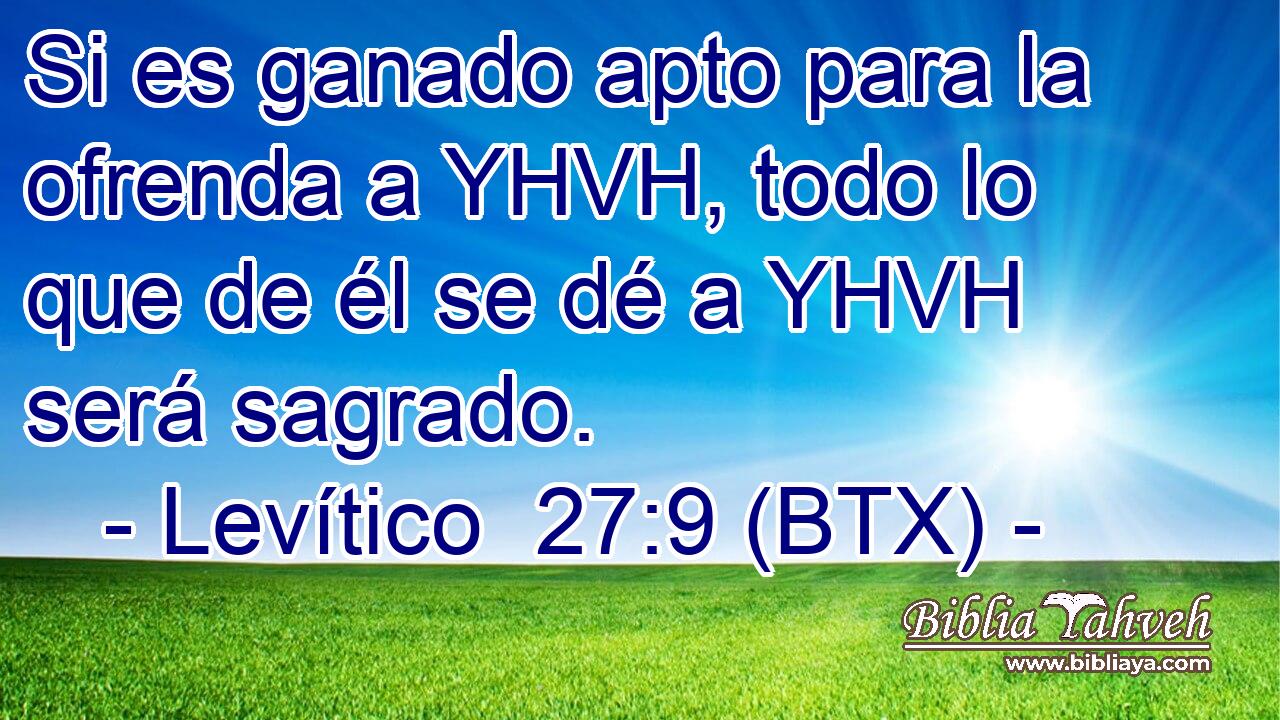 Si es ganado apto para la ofrenda a YHVH, todo lo que de él se dé a YHVH será sagrado.