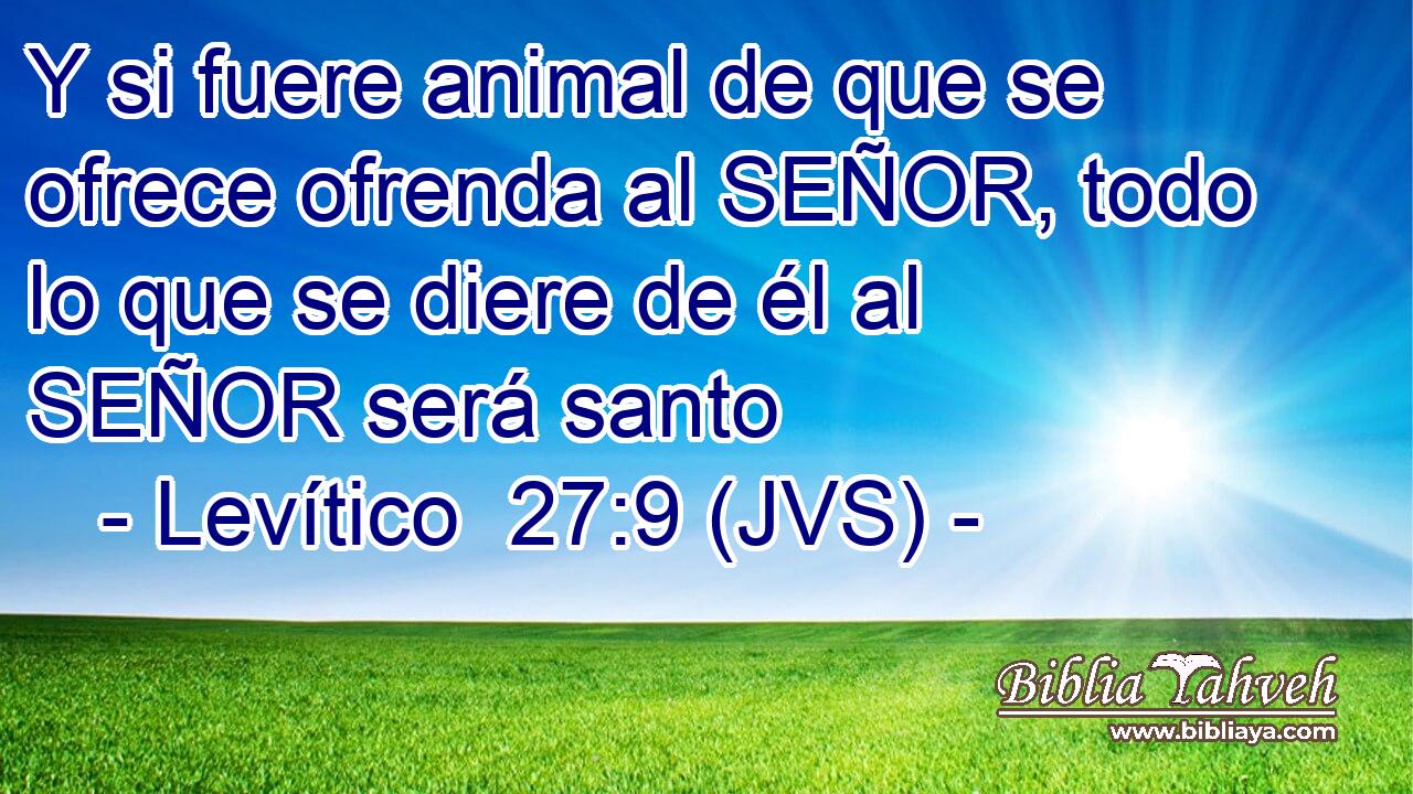 Y si fuere animal de que se ofrece ofrenda al SEÑOR, todo lo que se diere de él al SEÑOR será santo