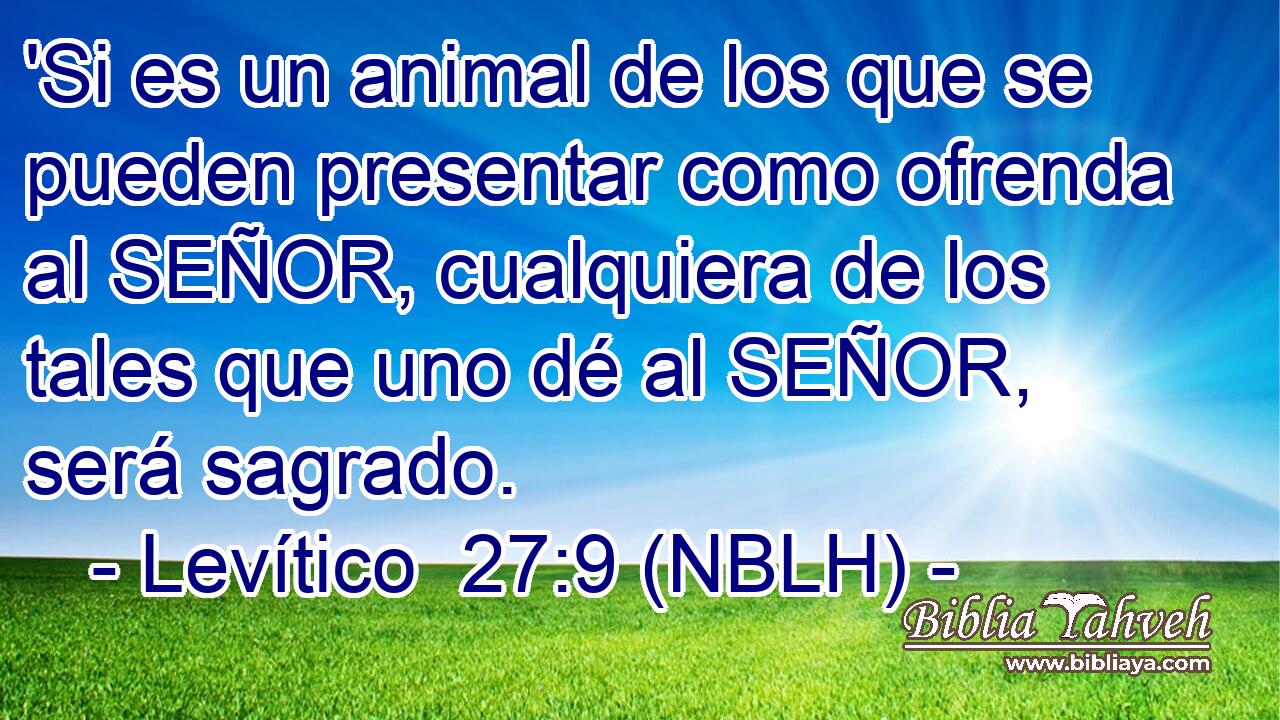  'Si es un animal de los que se pueden presentar como ofrenda al SEÑOR, cualquiera de los tales que uno dé al SEÑOR, será sagrado. 