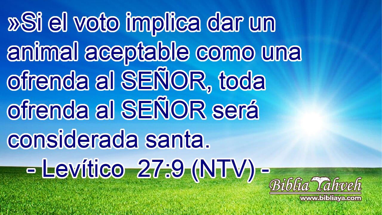 »Si el voto implica dar un animal aceptable como una ofrenda al SEÑOR, toda ofrenda al SEÑOR será considerada santa.
