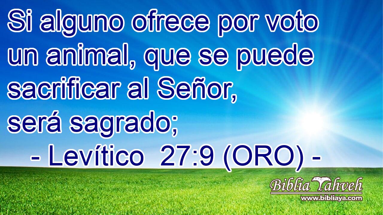  Si alguno ofrece por voto un animal, que se puede sacrificar al Señor, será sagrado; 