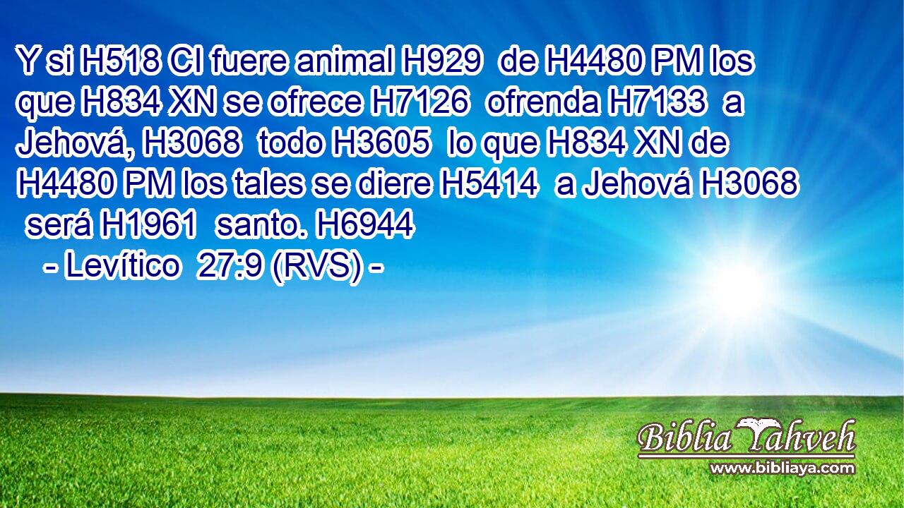 Y si H518 CI fuere animal H929  de H4480 PM los que H834 XN se ofrece H7126  ofrenda H7133  a Jehová, H3068  todo H3605  lo que H834 XN de H4480 PM los tales se diere H5414  a Jehová H3068  será H1961  santo. H6944  