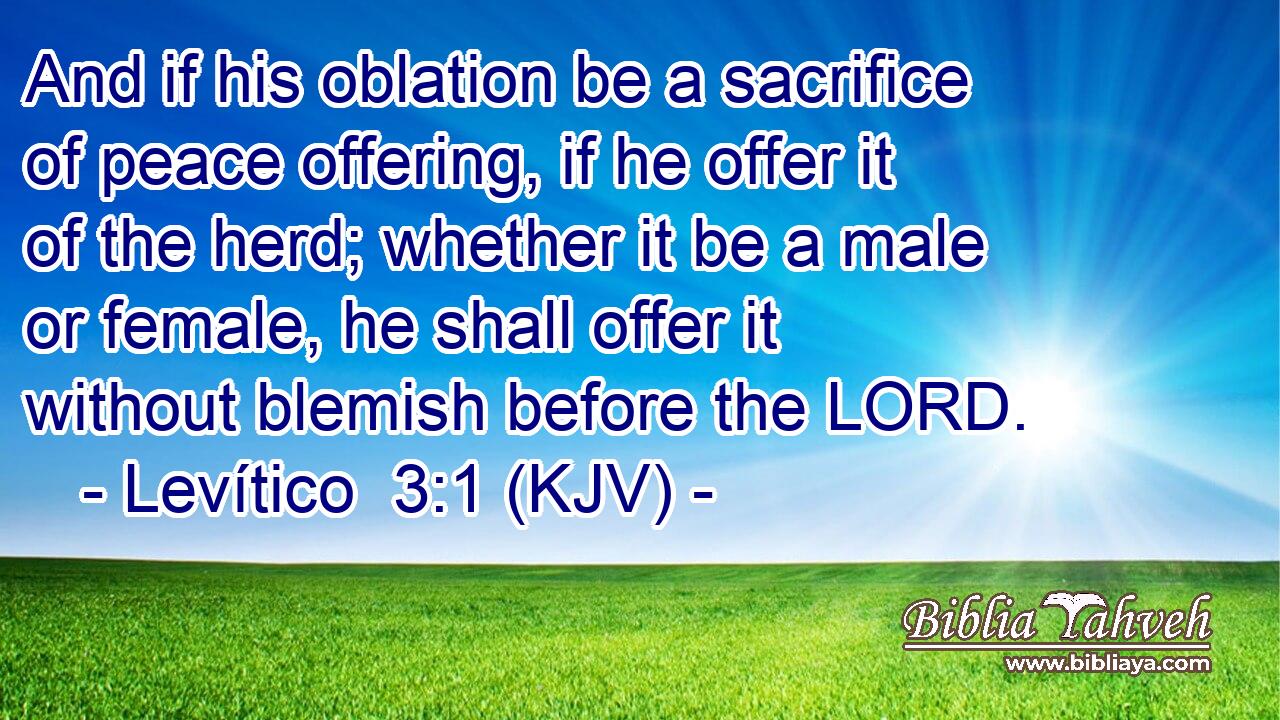 And if his oblation be a sacrifice of peace offering, if he offer it of the herd; whether it be a male or female, he shall offer it without blemish before the LORD.