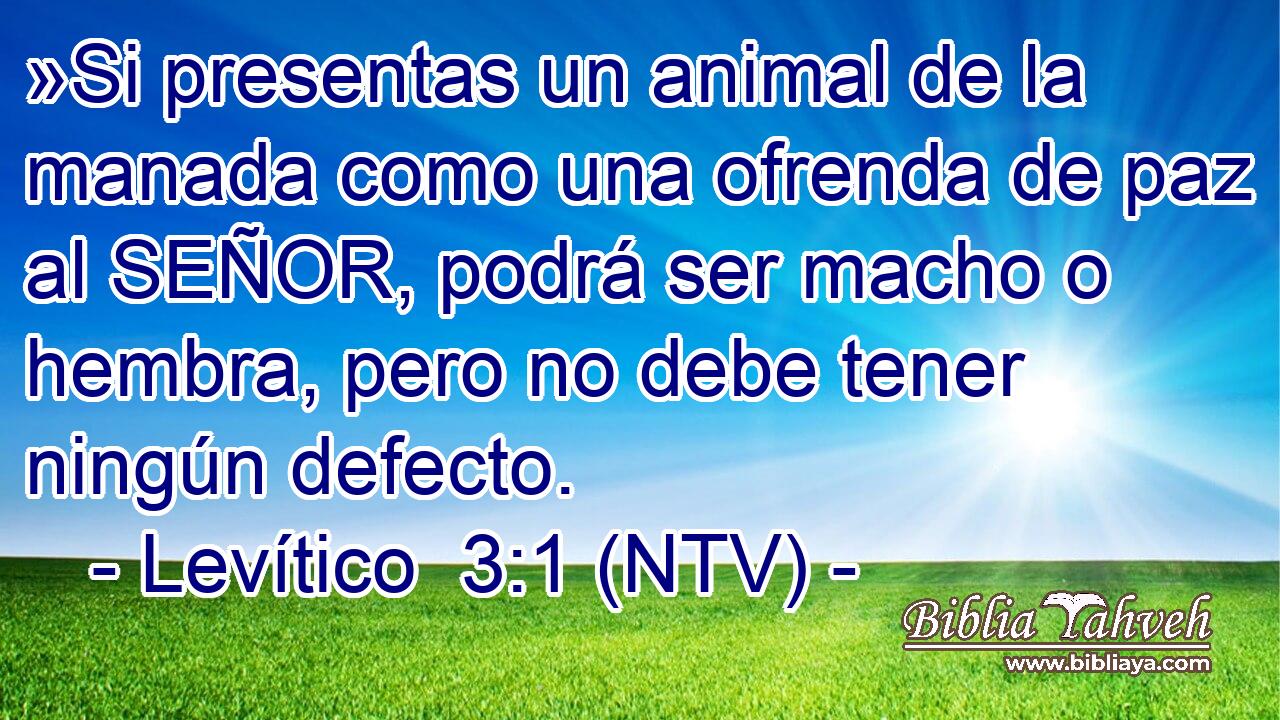 »Si presentas un animal de la manada como una ofrenda de paz al SEÑOR, podrá ser macho o hembra, pero no debe tener ningún defecto.