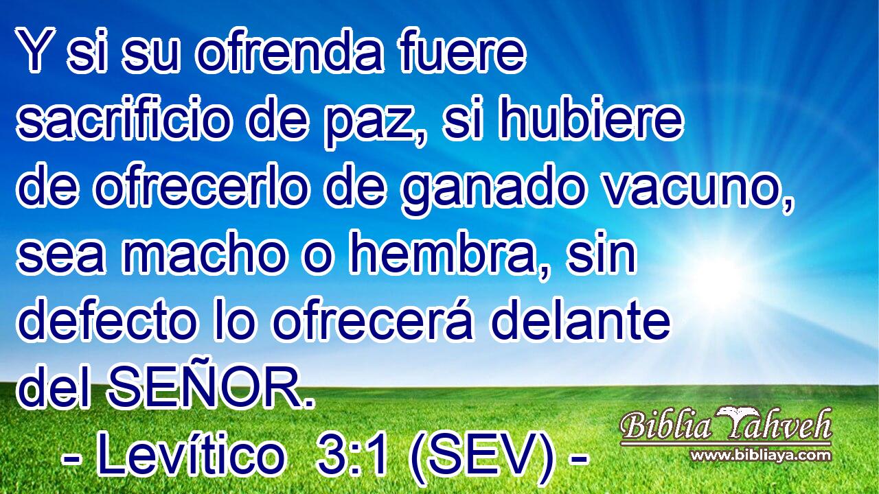 Y si su ofrenda fuere sacrificio de paz, si hubiere de ofrecerlo de ganado vacuno, sea macho o hembra, sin defecto lo ofrecerá delante del SEÑOR.