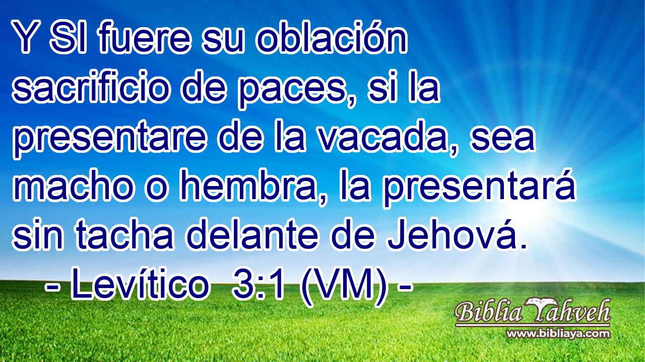  Y SI fuere su oblación sacrificio de paces, si la presentare de la vacada, sea macho o hembra, la presentará sin tacha delante de Jehová. 