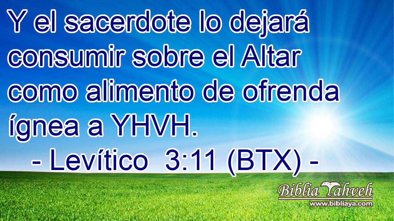 Y el sacerdote lo dejará consumir sobre el Altar como alimento de ofrenda ígnea a YHVH.