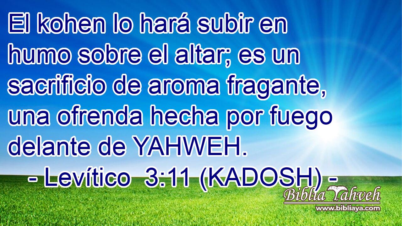  El kohen lo hará subir en humo sobre el altar; es un sacrificio de aroma fragante, una ofrenda hecha por fuego delante de YAHWEH. 