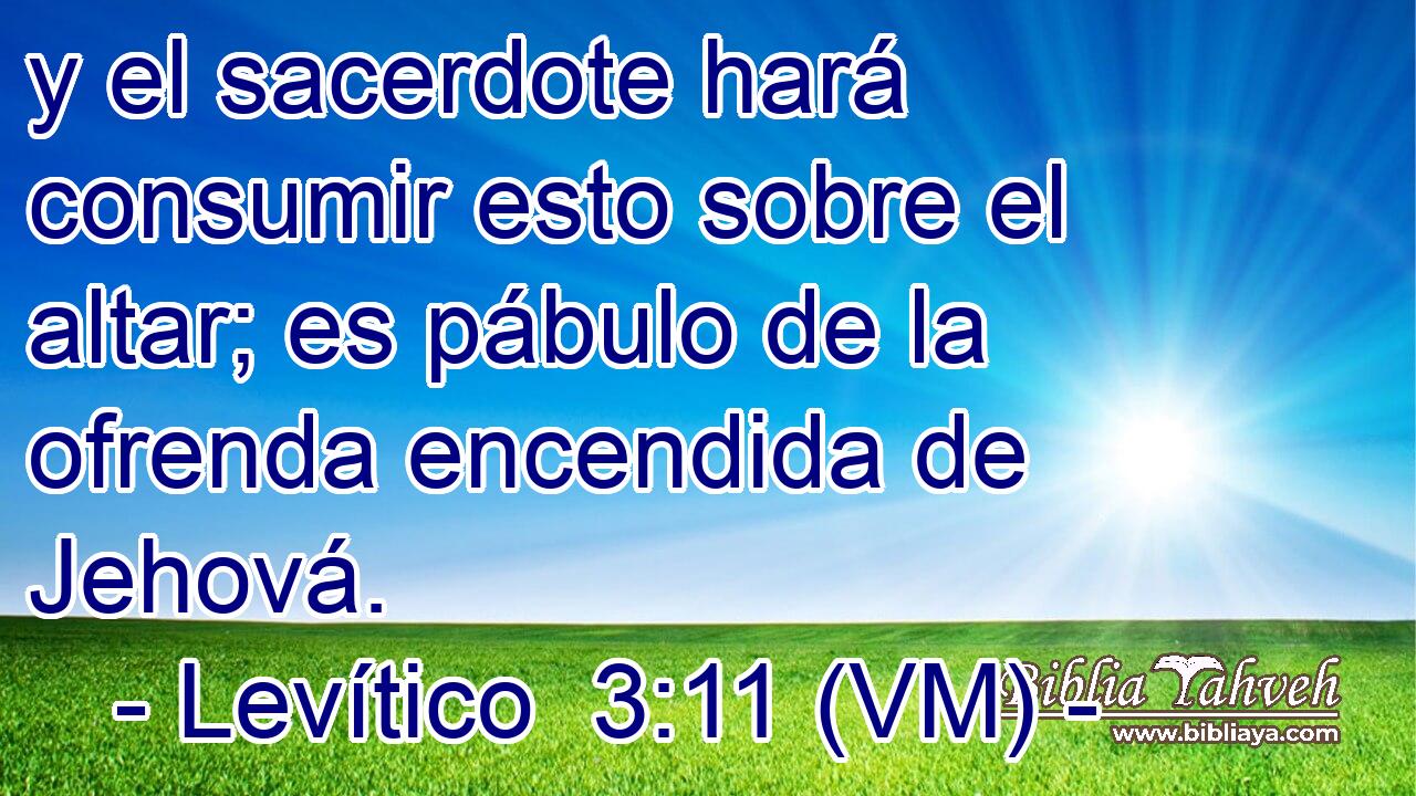  y el sacerdote hará consumir esto sobre el altar; es pábulo de la ofrenda encendida de Jehová. 