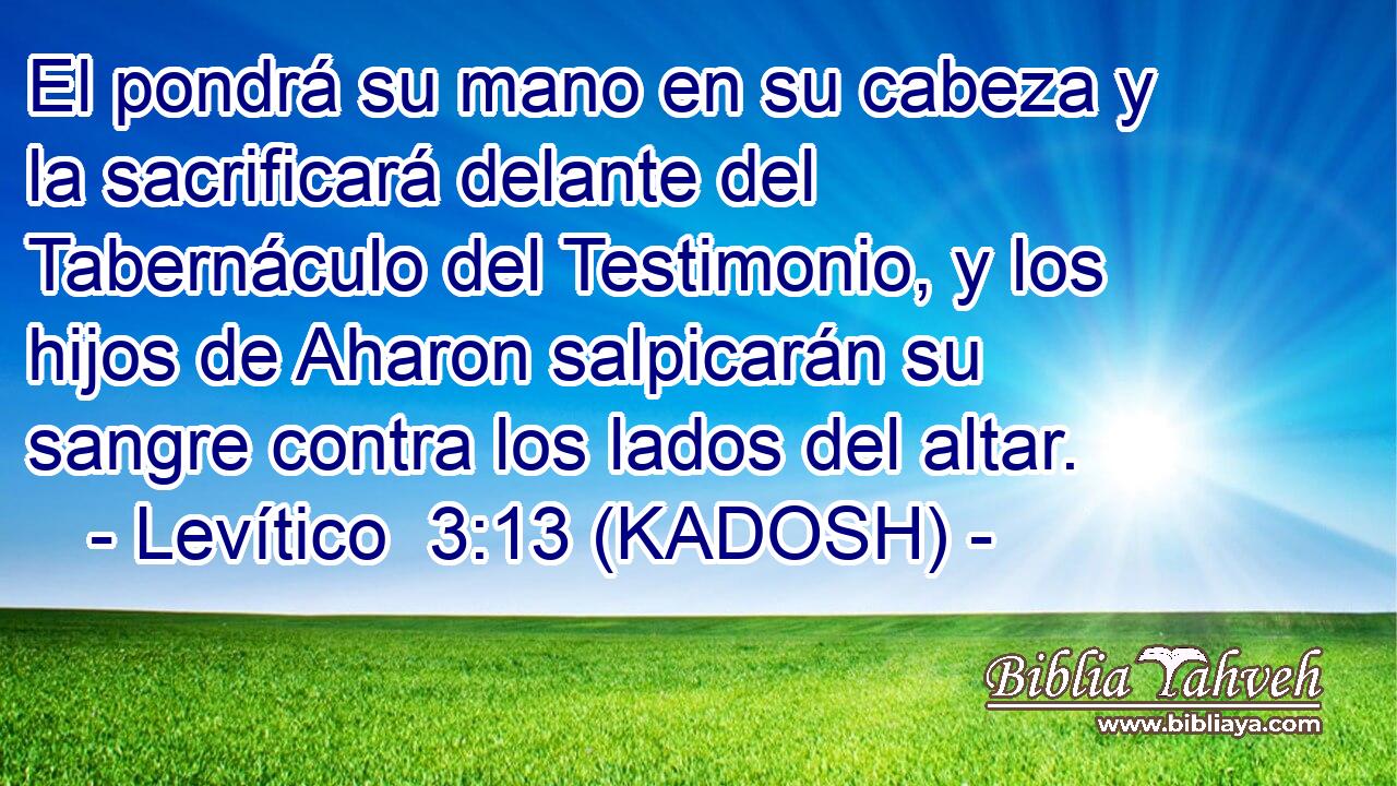  El pondrá su mano en su cabeza y la sacrificará delante del Tabernáculo del Testimonio, y los hijos de Aharon salpicarán su sangre contra los lados del altar. 