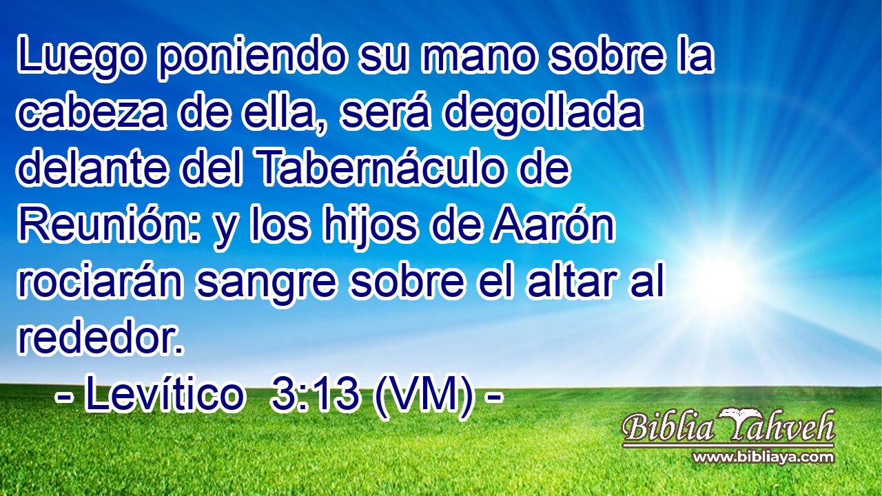  Luego poniendo su mano sobre la cabeza de ella, será degollada delante del Tabernáculo de Reunión: y los hijos de Aarón rociarán sangre sobre el altar al rededor. 