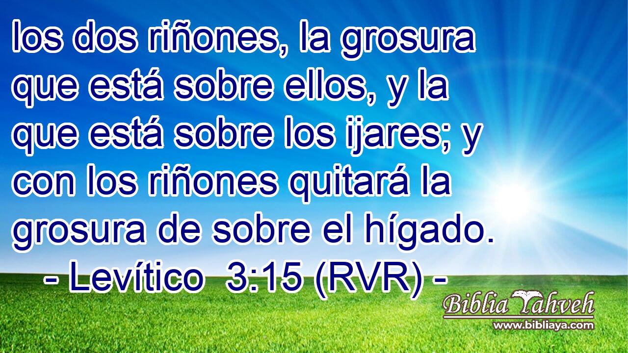 los dos riñones, la grosura que está sobre ellos, y la que está sobre los ijares; y con los riñones quitará la grosura de sobre el hígado.