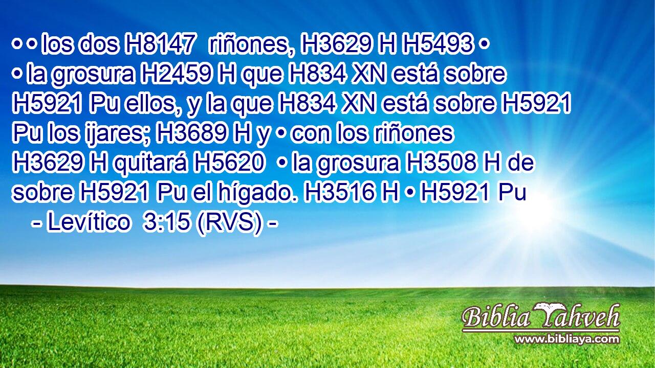 • • los dos H8147  riñones, H3629 H H5493 • • la grosura H2459 H que H834 XN está sobre H5921 Pu ellos, y la que H834 XN está sobre H5921 Pu los ijares; H3689 H y • con los riñones H3629 H quitará H5620  • la grosura H3508 H de sobre H5921 Pu el hígado. H3516 H • H5921 Pu 