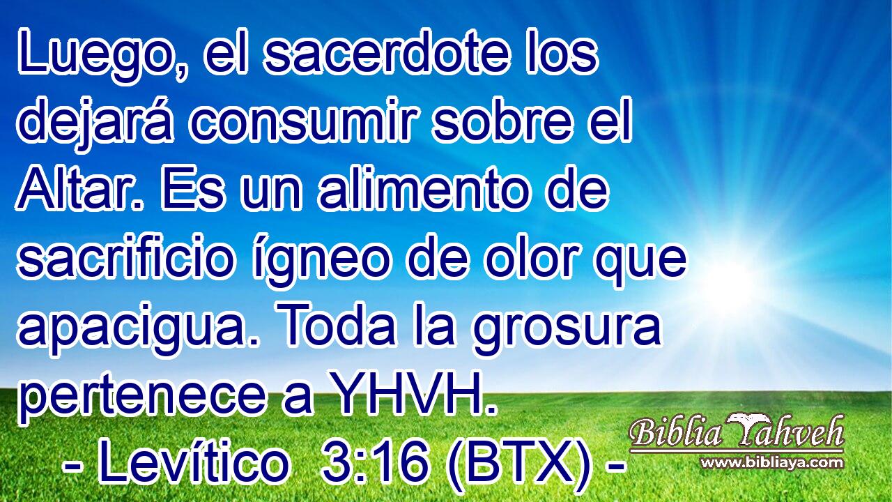 Luego, el sacerdote los dejará consumir sobre el Altar. Es un alimento de sacrificio ígneo de olor que apacigua. Toda la grosura pertenece a YHVH.