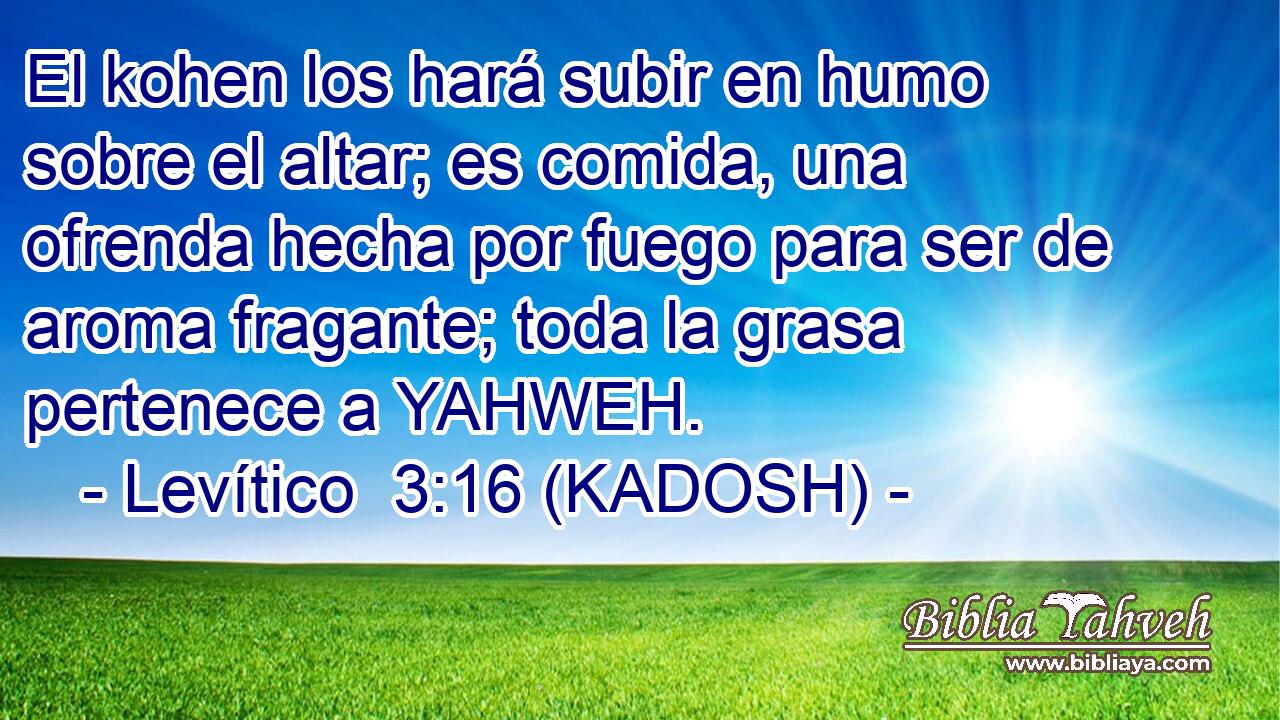  El kohen los hará subir en humo sobre el altar; es comida, una ofrenda hecha por fuego para ser de aroma fragante; toda la grasa pertenece a YAHWEH. 