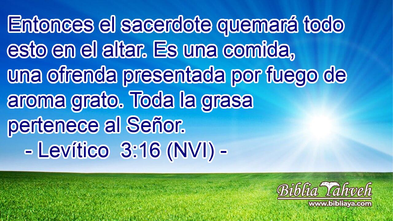  Entonces el sacerdote quemará todo esto en el altar. Es una comida, una ofrenda presentada por fuego de aroma grato. Toda la grasa pertenece al Señor. 