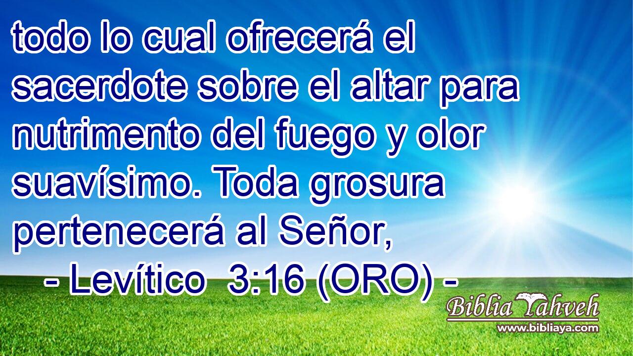  todo lo cual ofrecerá el sacerdote sobre el altar para nutrimento del fuego y olor suavísimo. Toda grosura pertenecerá al Señor, 