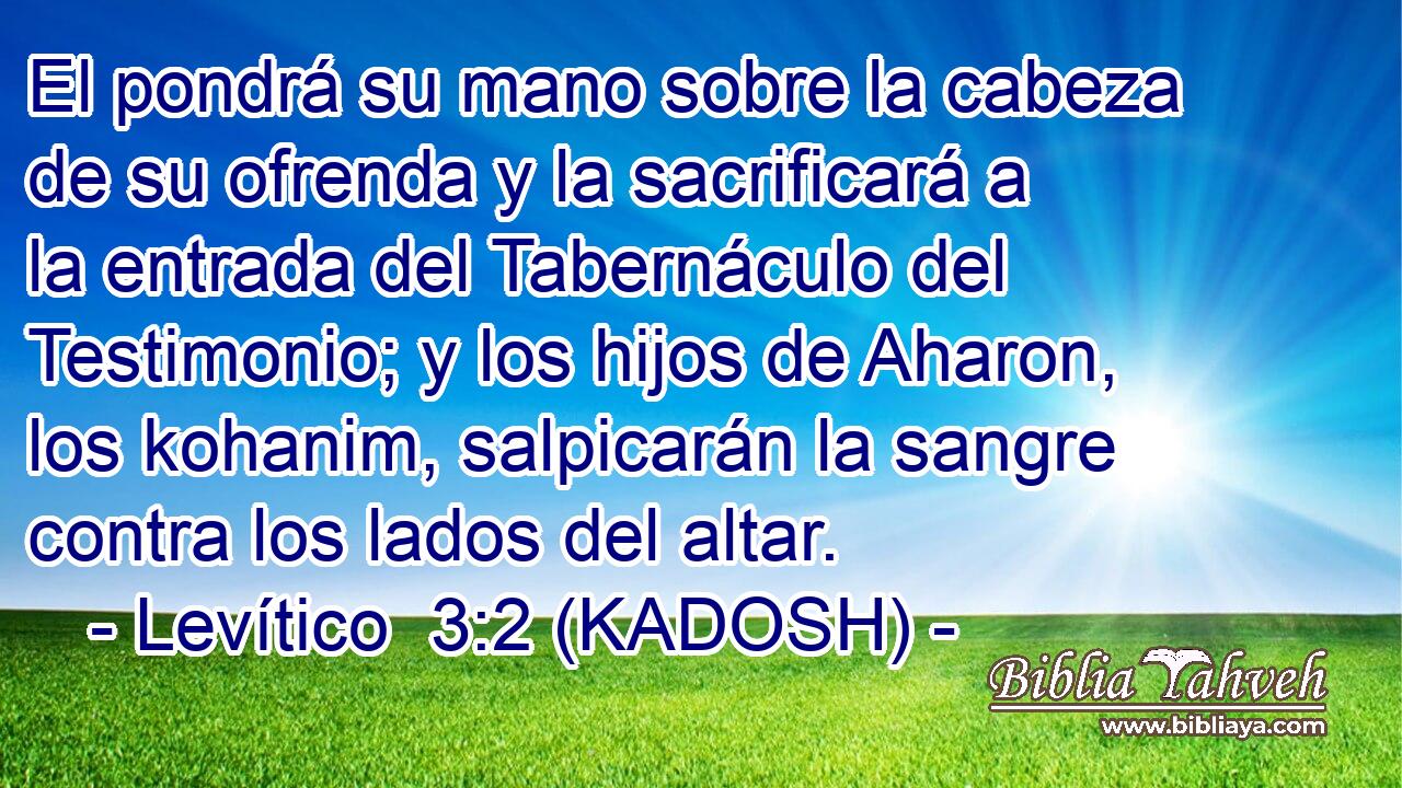  El pondrá su mano sobre la cabeza de su ofrenda y la sacrificará a la entrada del Tabernáculo del Testimonio; y los hijos de Aharon, los kohanim, salpicarán la sangre contra los lados del altar. 