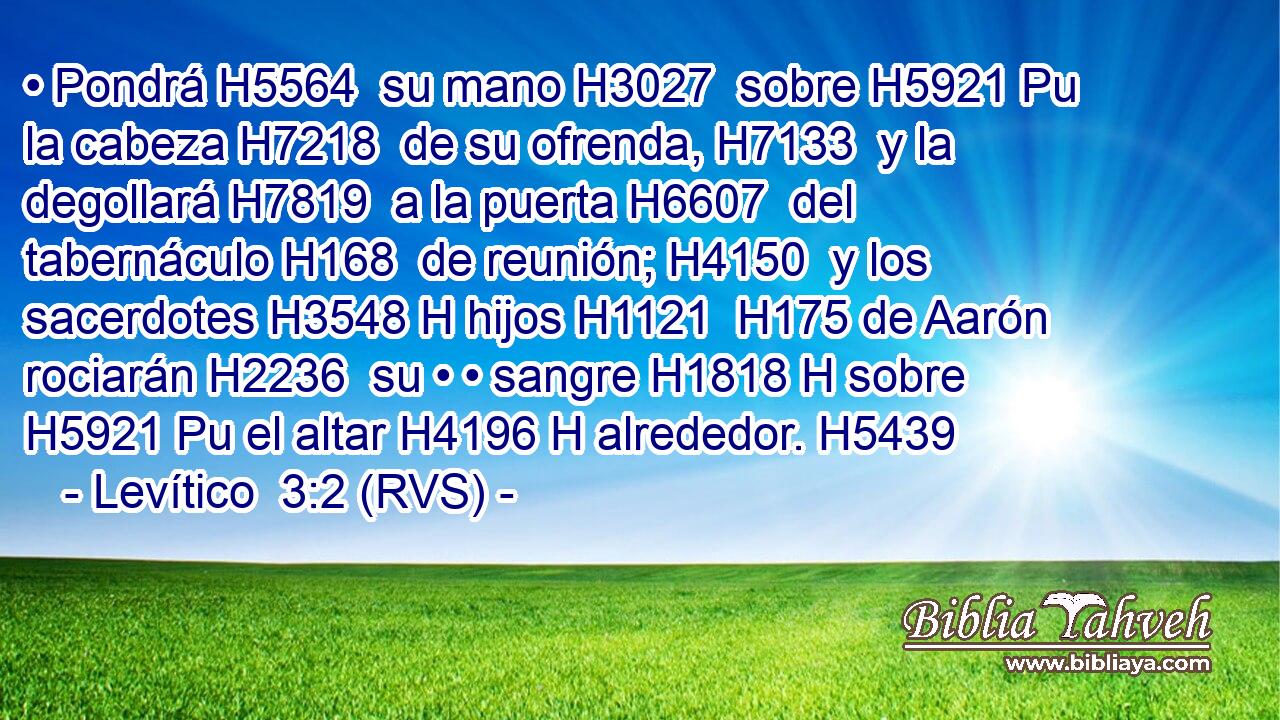 • Pondrá H5564  su mano H3027  sobre H5921 Pu la cabeza H7218  de su ofrenda, H7133  y la degollará H7819  a la puerta H6607  del tabernáculo H168  de reunión; H4150  y los sacerdotes H3548 H hijos H1121  H175 de Aarón rociarán H2236  su • • sangre H1818 H sobre H5921 Pu el altar H4196 H alrededor. H5439  