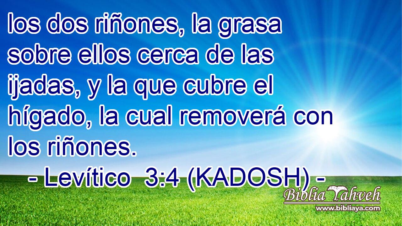  los dos riñones, la grasa sobre ellos cerca de las ijadas, y la que cubre el hígado, la cual removerá con los riñones. 