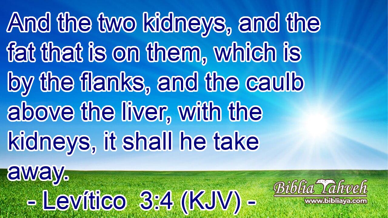 And the two kidneys, and the fat that is on them, which is by the flanks, and the caulb above the liver, with the kidneys, it shall he take away.