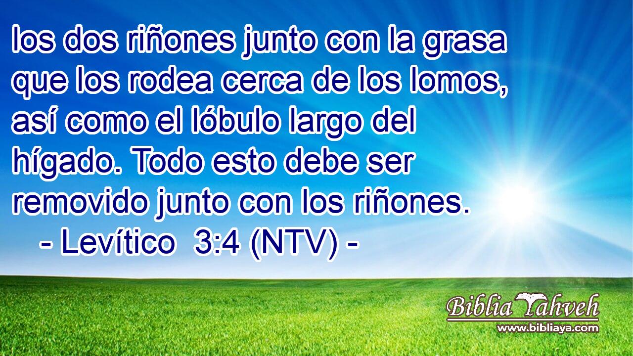 los dos riñones junto con la grasa que los rodea cerca de los lomos, así como el lóbulo largo del hígado. Todo esto debe ser removido junto con los riñones.