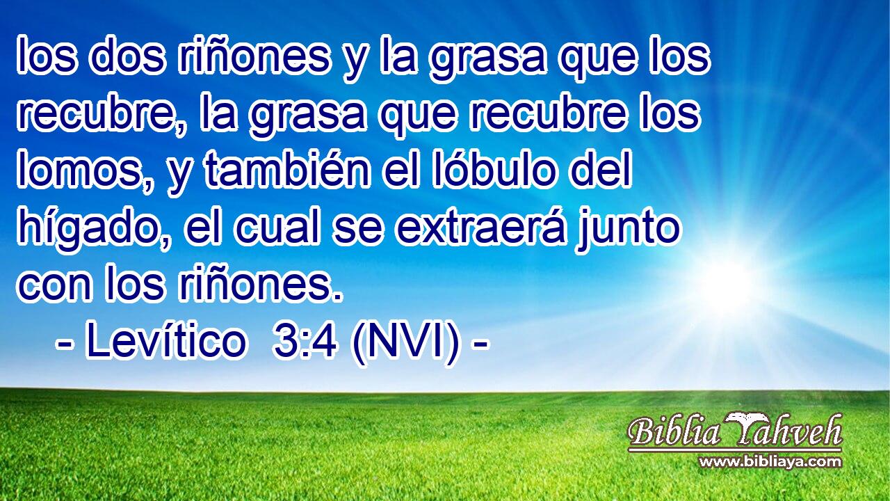  los dos riñones y la grasa que los recubre, la grasa que recubre los lomos, y también el lóbulo del hígado, el cual se extraerá junto con los riñones. 