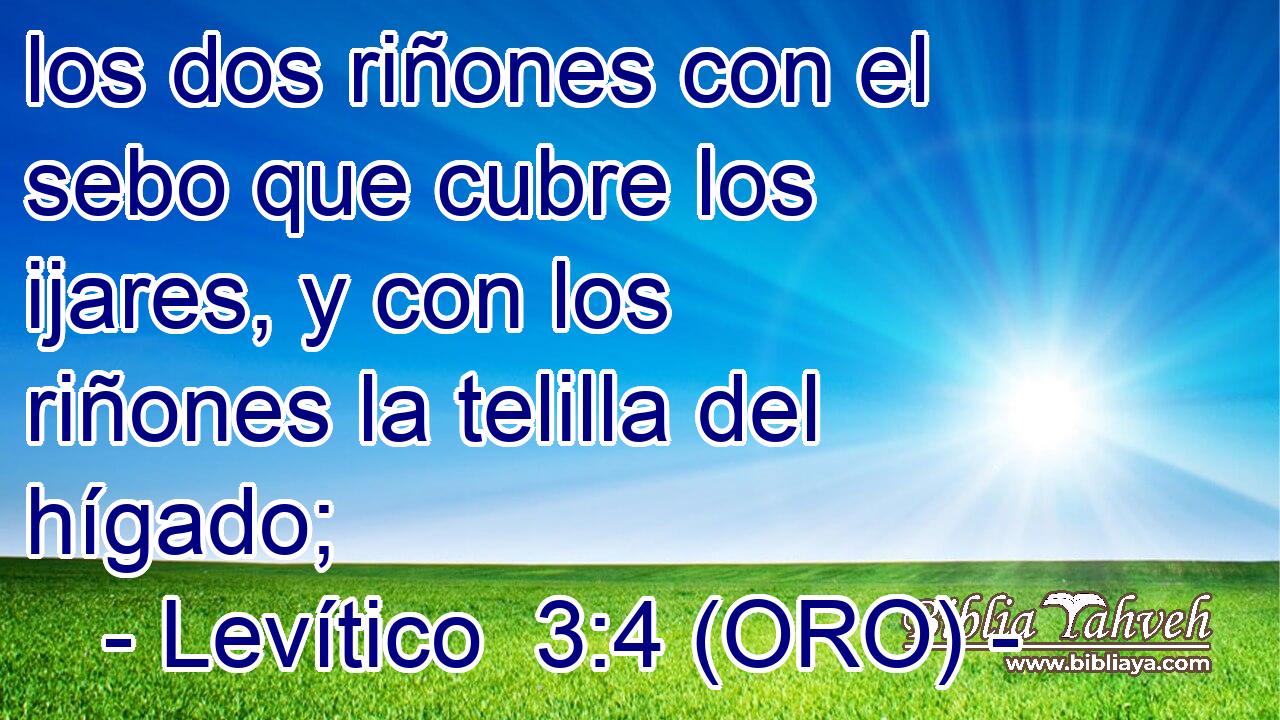  los dos riñones con el sebo que cubre los ijares, y con los riñones la telilla del hígado; 